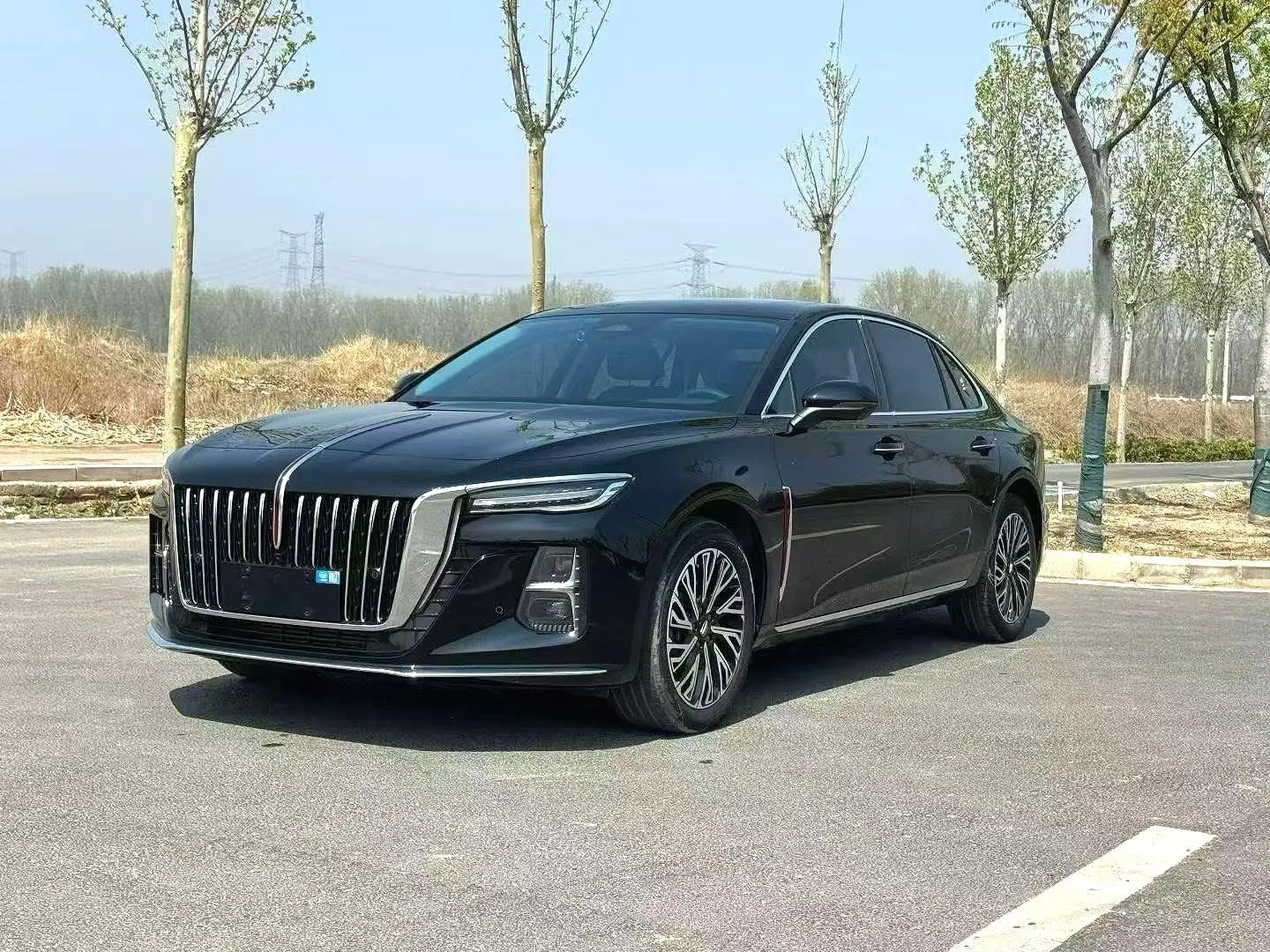 Hongqi Hongqi H5 2.0T automatic flag version