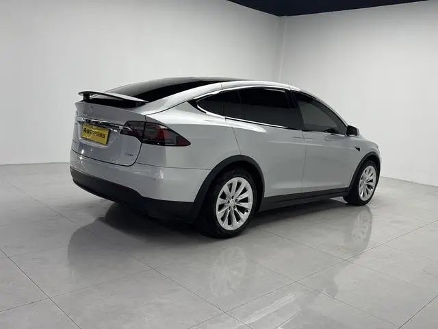 Tesla Model X 100D long battery life version