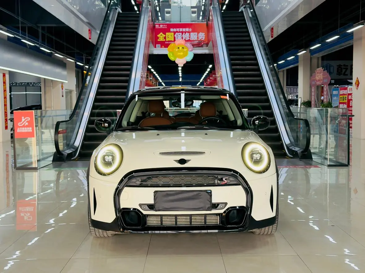 MINI MINI 2.0T COOPER S artist
