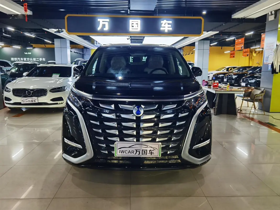 Denza Denza D9 DM 1050 Exclusive type