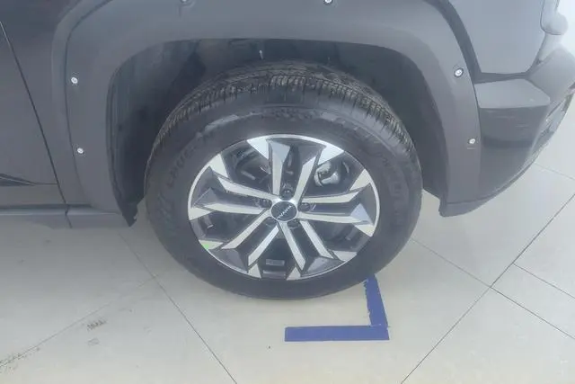 Haval Haval Big Dog PLUS 2.0T two-wheel drive Tide Wild edition Plus