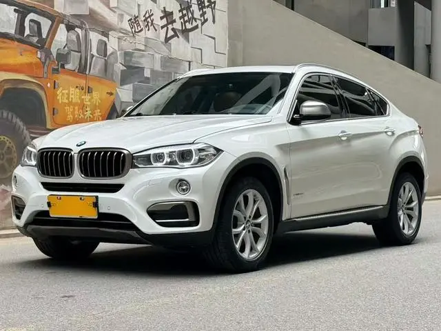 BMW BMW X6 xDrive35i leading type