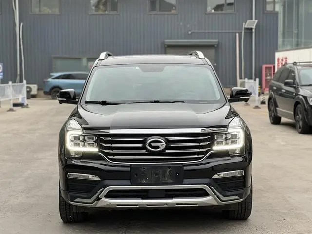 GAC Trumpchi GS8 320T two-wheel drive premium edition 7 seats