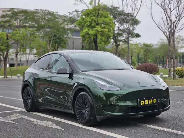 Tesla Model Y Rear-wheel drive version