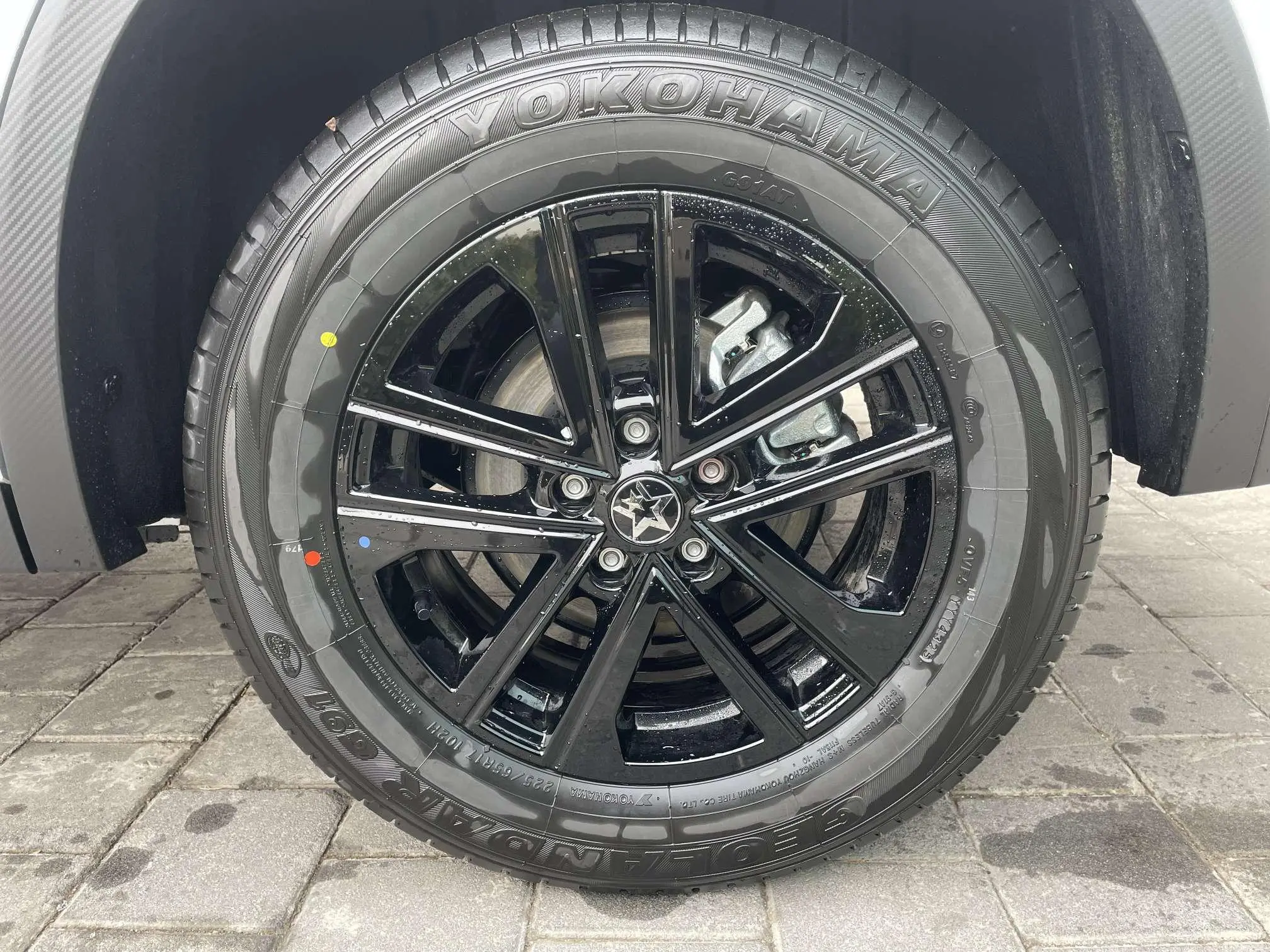 Venucia Qichen Big V 260T Nova Edition Pro