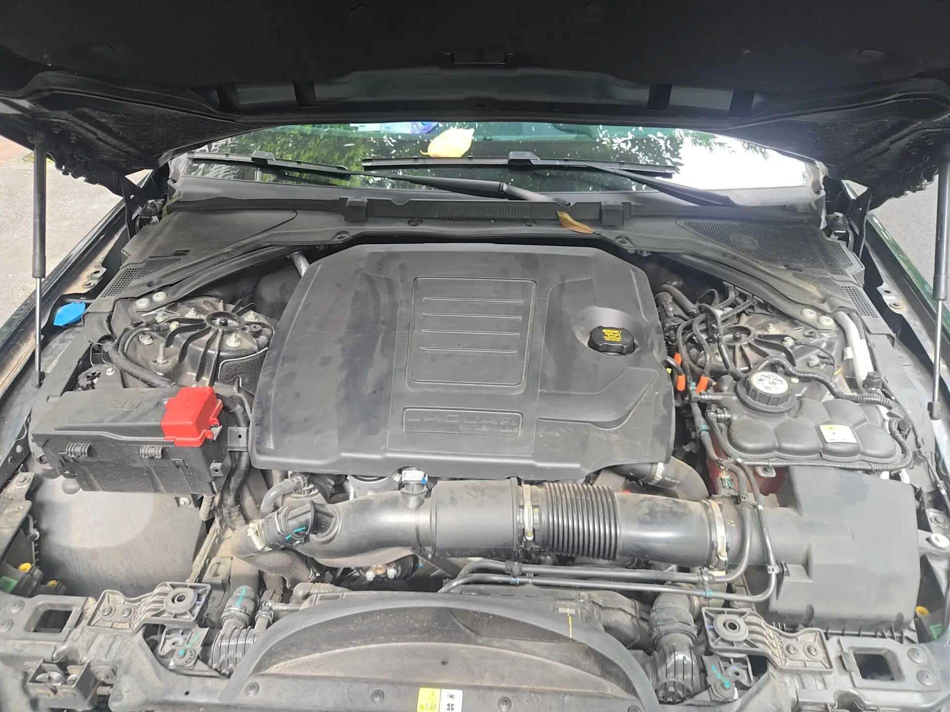 Jaguar Jaguar XEL 2.0T 250PS R-DYNAMIC S Enterprising Sports Edition
