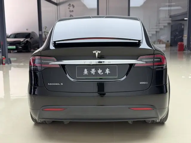 Tesla Model X 100D long battery life version