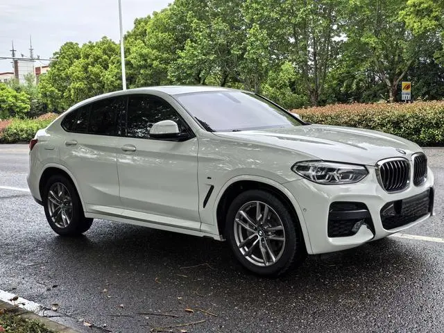 BMW BMW X4 xDrive25i M sports suit