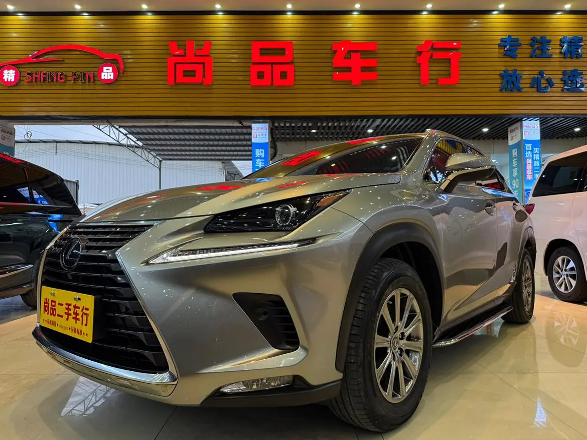 Lexus Lexus NX 300h front drive Fengshang version Country VI