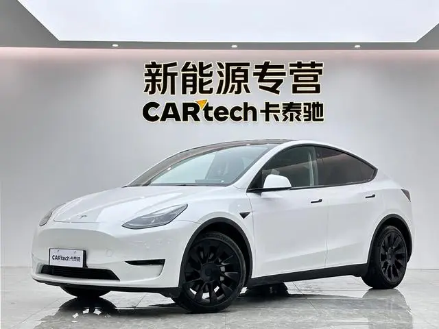 Tesla Model Y Long battery life all-wheel drive version