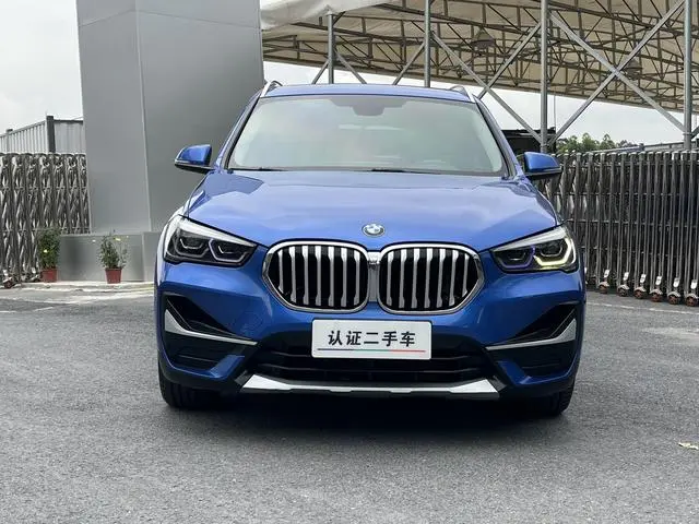 BMW BMW X1 xDrive25Li Exclusive type