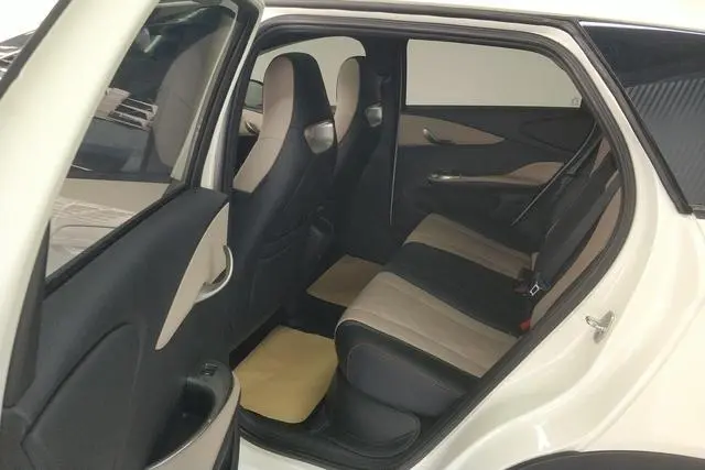 BYD dolphin Fashion edition