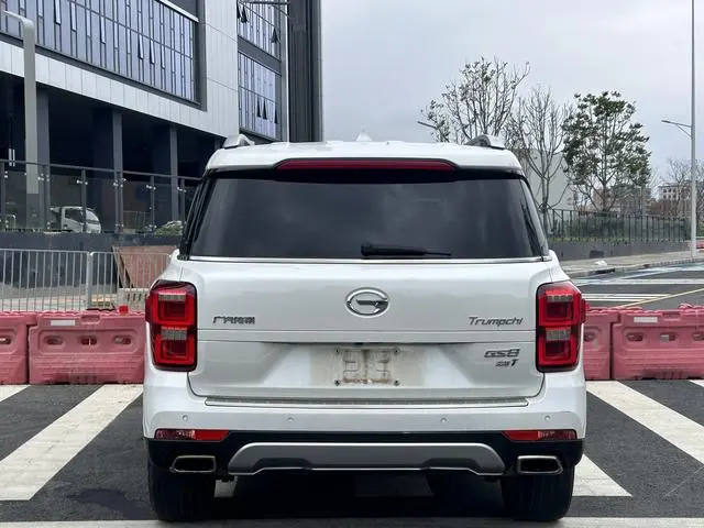 GAC Trumpchi GS8 320T two-wheel drive premium edition 7 seats
