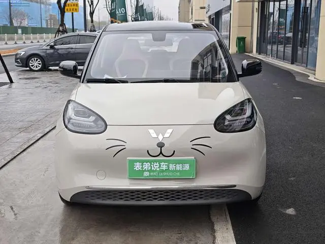 Wuling Wuling Bingguo 410KM Lingyi Exclusive Model