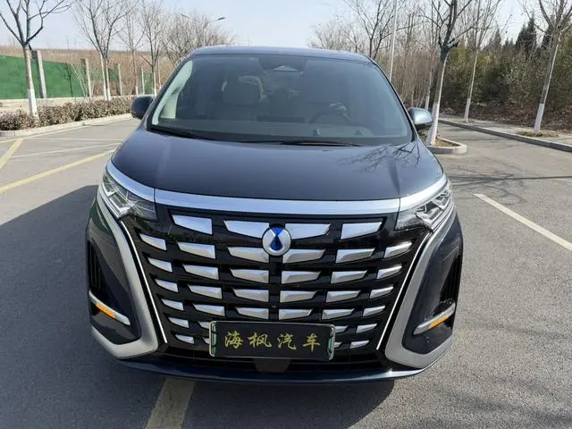 Denza Denza D9 DM 980 four-wheel drive flagship