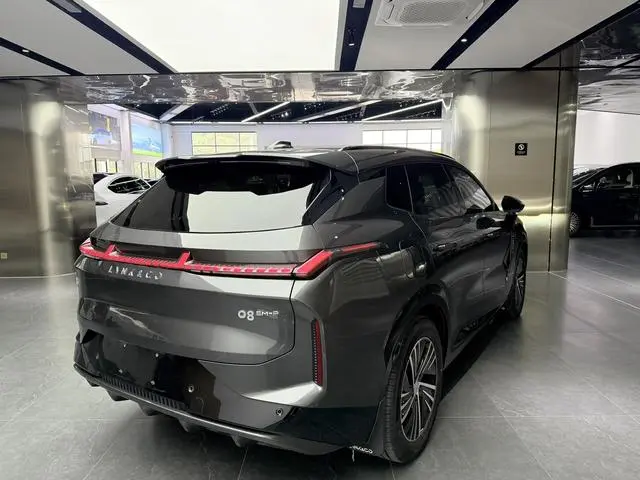 LYNK & CO Lynk & Co. 08 EM-P 120 long battery life Pro