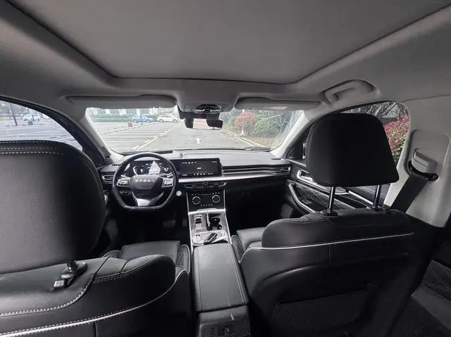 EXEED Xingtu Lanyue 390T two-wheel drive Star Rui Edition