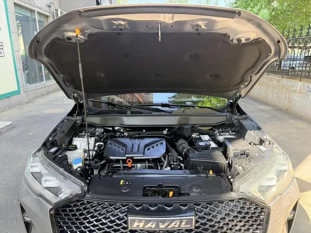 Haval Haval H6 The third generation 2.0T automatic four-wheel drive Max version