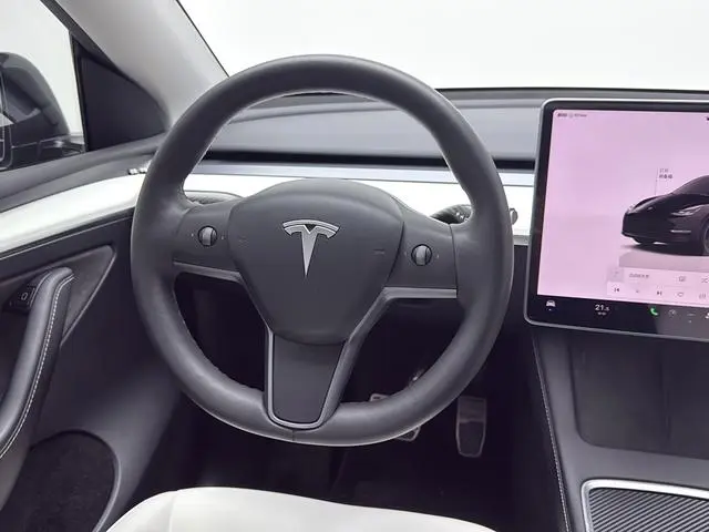 Tesla Model Y Performance high-performance all-wheel drive version