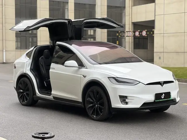 Tesla Model X 100D long battery life version
