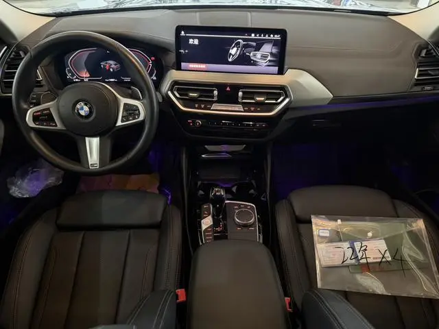 BMW BMW X4 xDrive 25i M sports suit