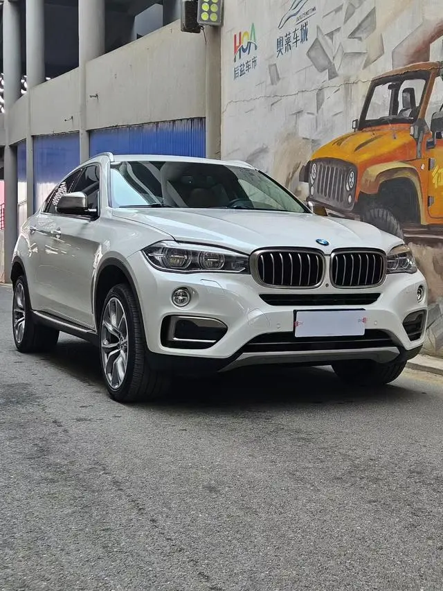 BMW BMW X6 xDrive35i leading type