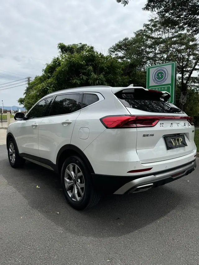 Haval Haval H6 National Tide Version 1.5T Automatic Champion Version