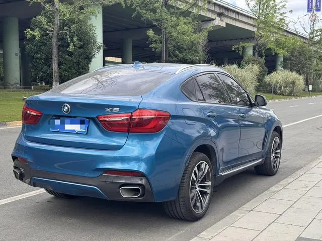 BMW BMW X6 xDrive35i leading type