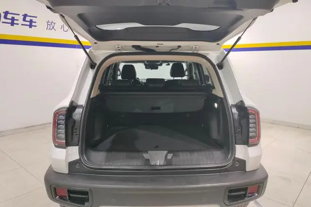 Haval Haval Big Dog 1.5T two-wheel drive Bianmu-Wangcai Edition