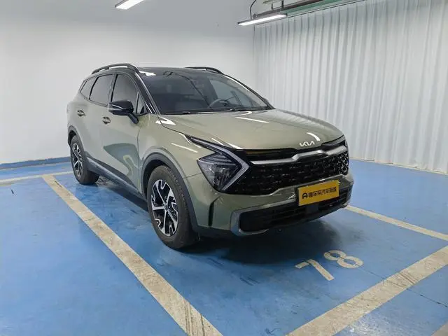 Kia Lion Platinum expands the world 1.5T two-wheel drive Premium edition