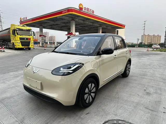 Wuling Wuling Bingguo 333KM Yuexiang model