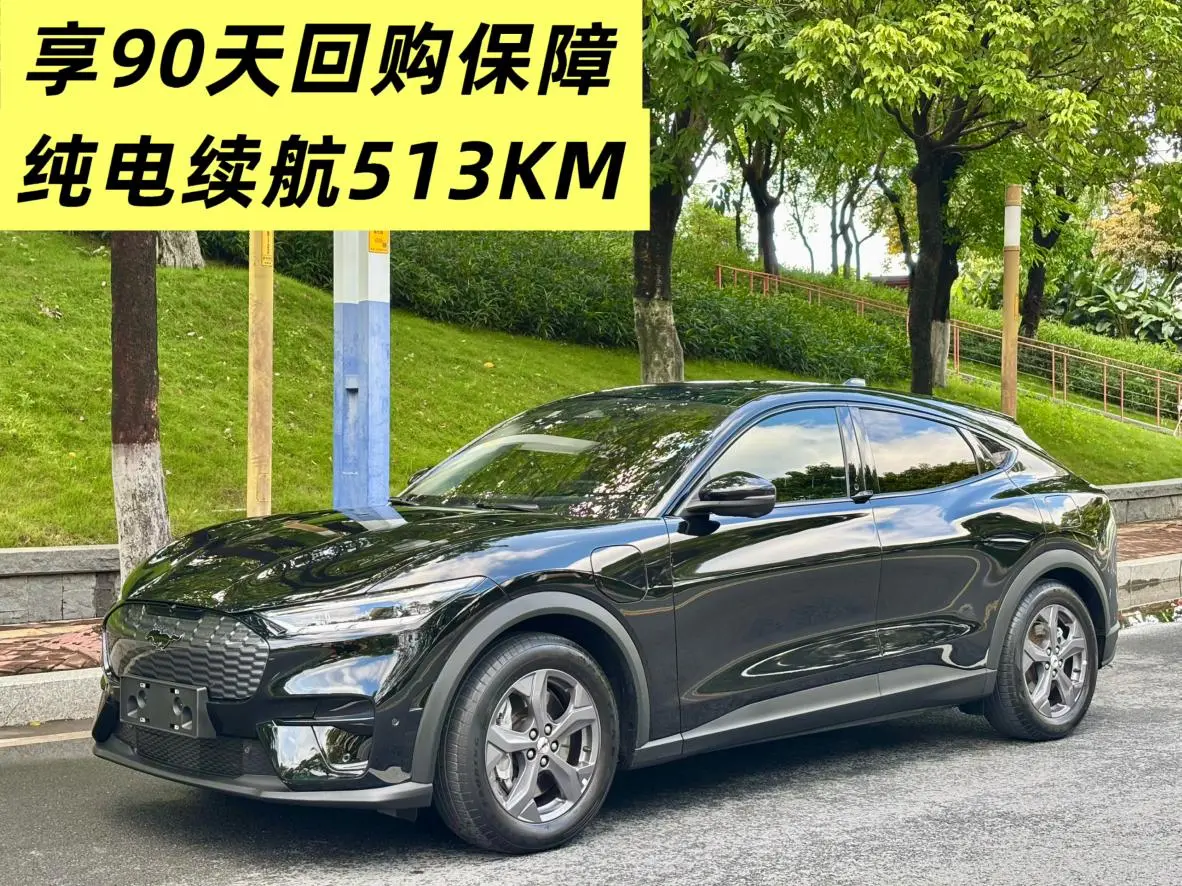 Ford Ford electric Horse Yueshi Rear Drive version (standard battery life)