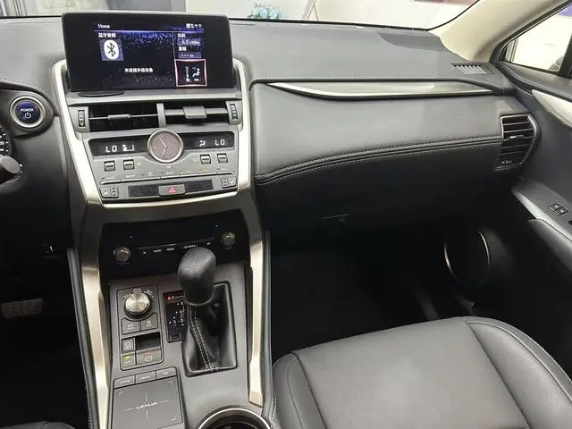 Lexus Lexus NX 300h front drive Fengshang version Country V