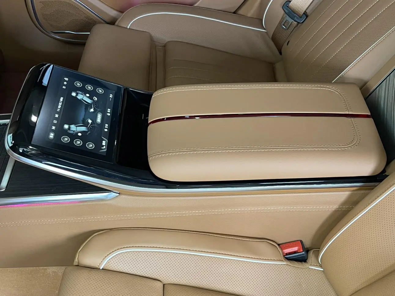 Hongqi Hongqi H9 3.0T Zhilian flag collar four-seater version