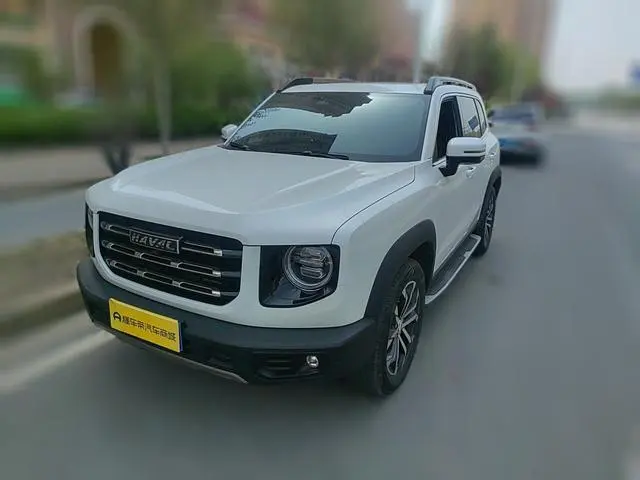 Haval Haval Big Dog 1.5T two-wheel drive horse and dog version
