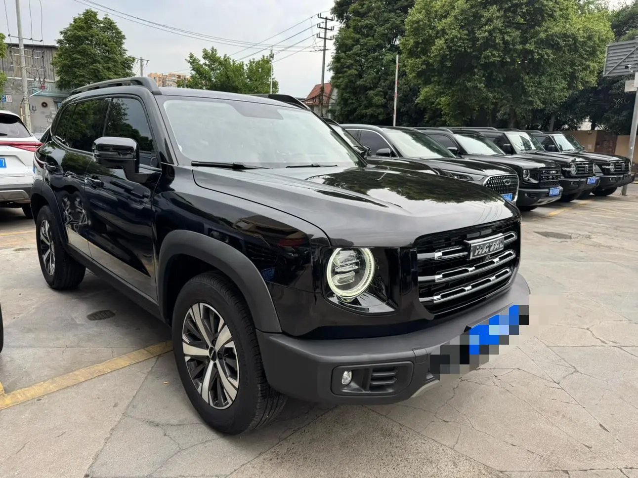 Haval Haval Big Dog 1.5T two-wheel drive Labrador version