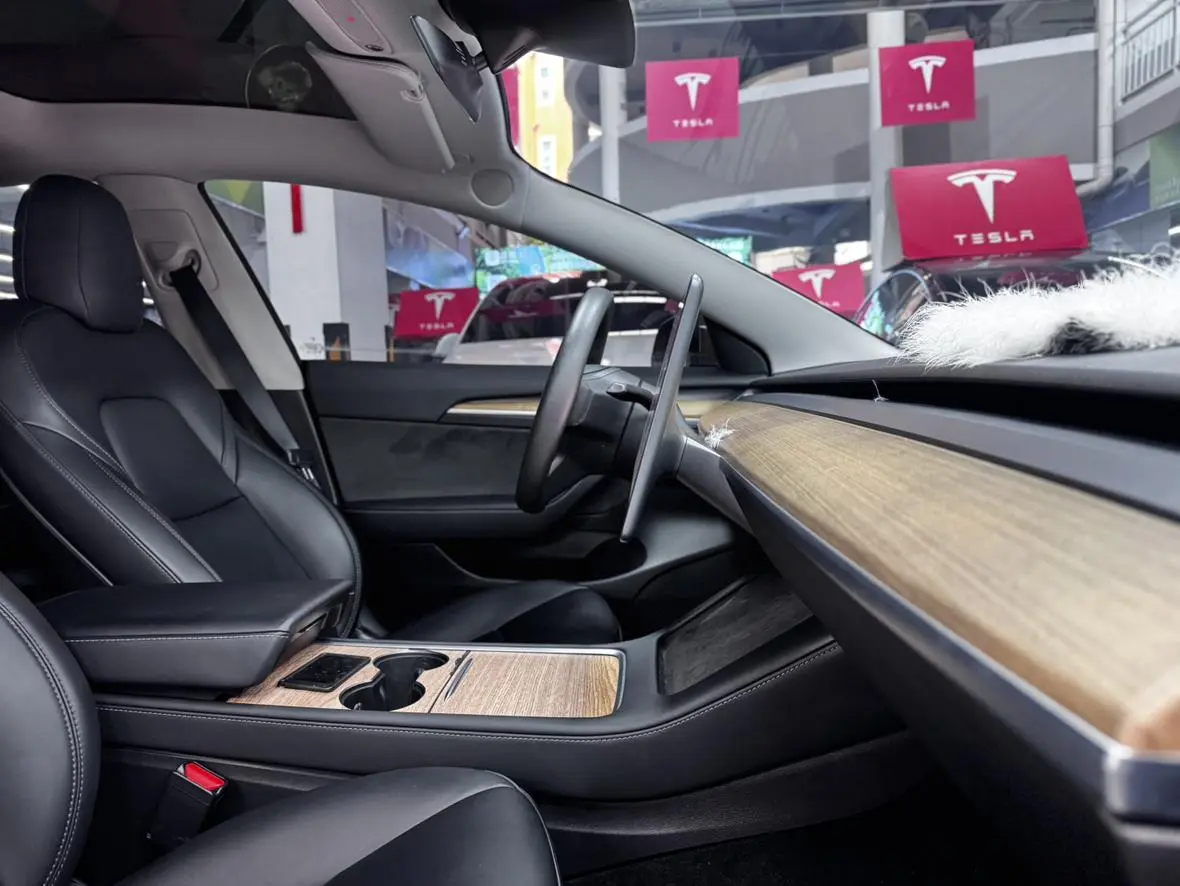 Tesla Model 3 Rear-wheel drive version