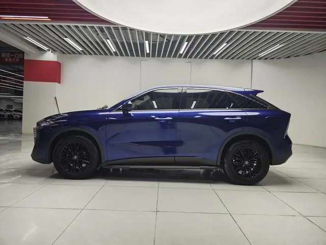 Venucia Qichenxing 260T Xingshang Edition Pro