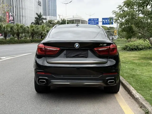 BMW BMW X6 xDrive35i Luxury