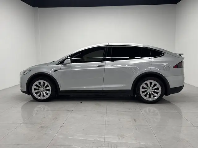 Tesla Model X 100D long battery life version