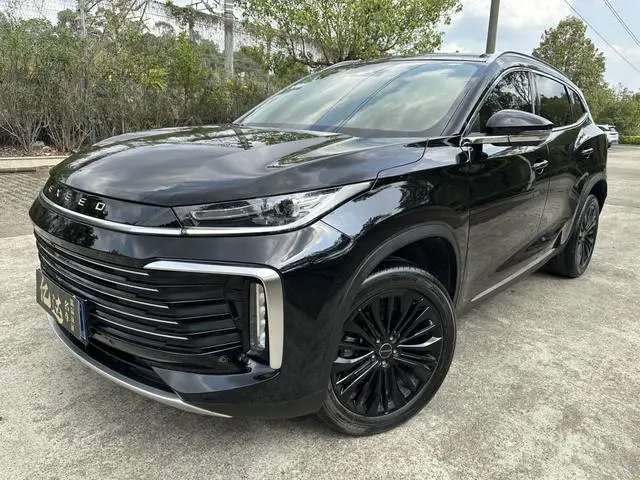EXEED Xingtu Lingyun Lingyun 300T two-wheel drive Xingyao Version