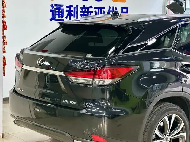 Lexus Lexus RX 300 four-wheel drive Special Edition