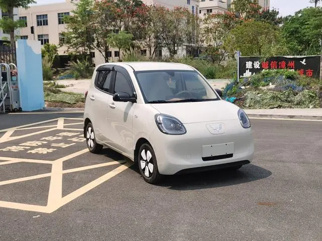 Wuling Wuling Hongguang MINIEV 205km lithium iron phosphate four-door version advanced model