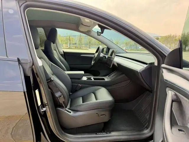 Tesla Model Y Rear-wheel drive version