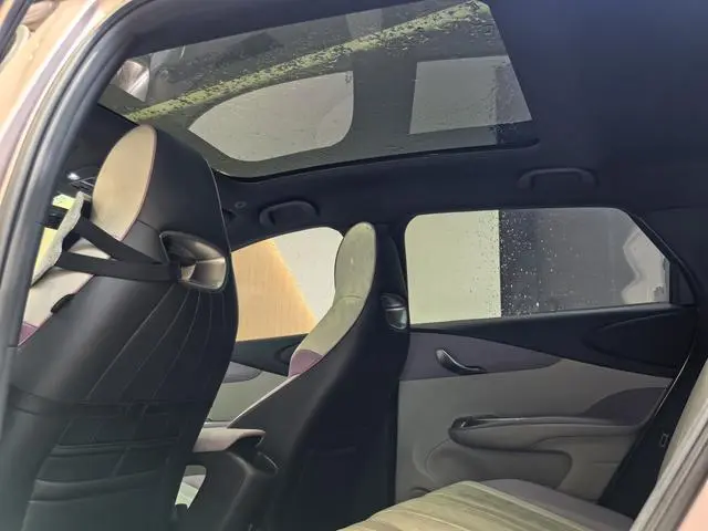 BYD dolphin Fashion edition