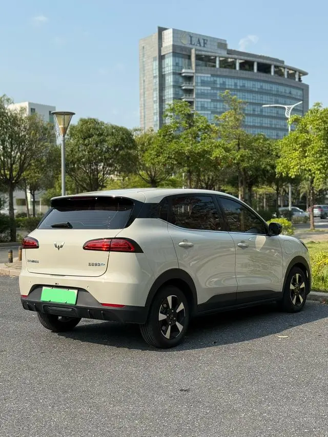 Wuling Wuling Bingguo PLUS 330km five-seater version