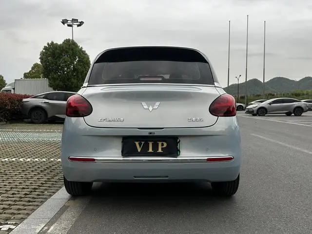 Wuling Wuling Bingguo 410KM Lingyi Exclusive Model