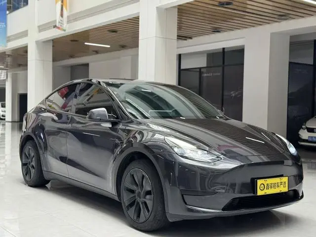 Tesla Model Y Rear-wheel drive version