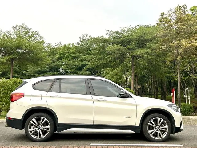 BMW BMW X1 xDrive20Li Luxury