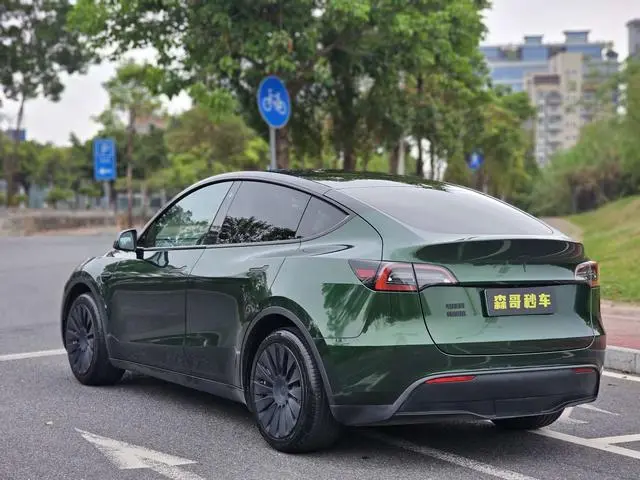 Tesla Model Y Rear-wheel drive version